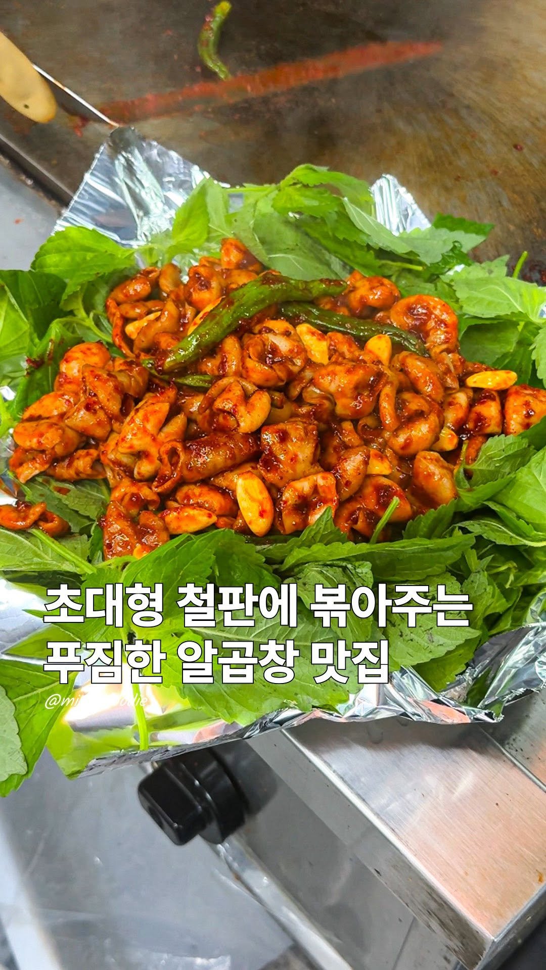 ming_foodie_ 게시물 이미지: 초대형 철판에 볶아주는 알곱창 맛집

홍대에 노포 분위기 낭낭한 곱창 맛집이...