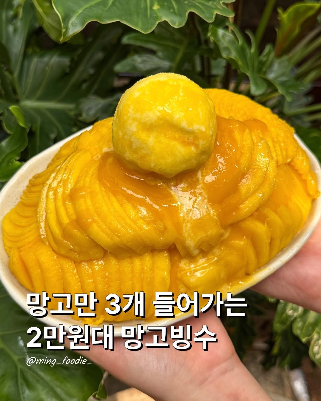 ming_foodie_ 게시물 이미지: 2만원대 망빙 퀄리티ㄷㄷ

주변에 망고만 보면 환장하는 친구가 있다면 
여기 꼭...