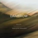 dam_brow 프로필 사진