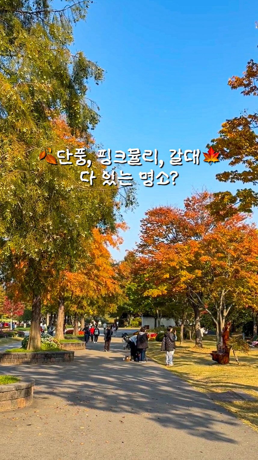 minggeurae 게시물 이미지: 📌전라남도 명소 #순천만국가정원

• 전남 순천시 국가정원1호길 47
• 매일...