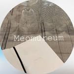 meomureum__ 프로필 사진