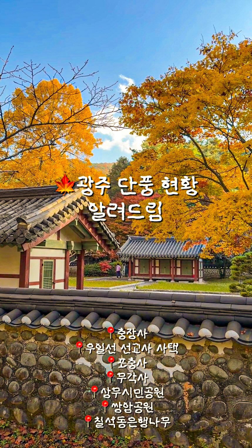 minggeurae 게시물 이미지: 단풍 이거만 보고 가세요!!🍂🍁

#밍그래광주 #광주단풍명소 #단풍명소