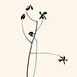 muje__official 프로필 사진