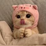 yumyuumy 프로필 사진