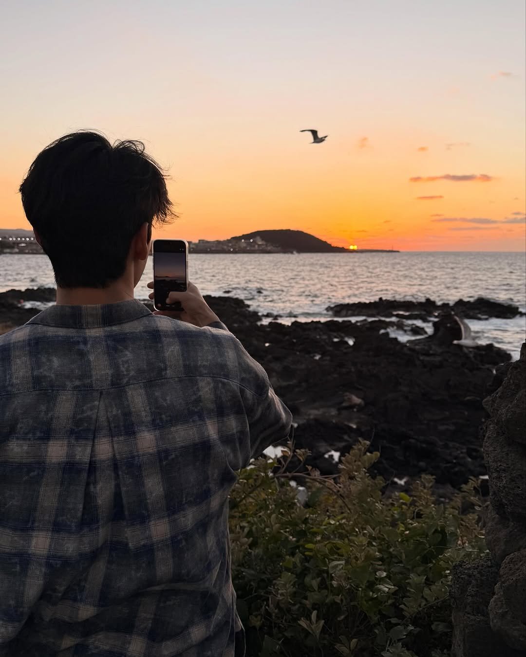 Photo by 홍민기 on November 14, 2025. May be an image of sea bird, twilight, ocean, water and text.