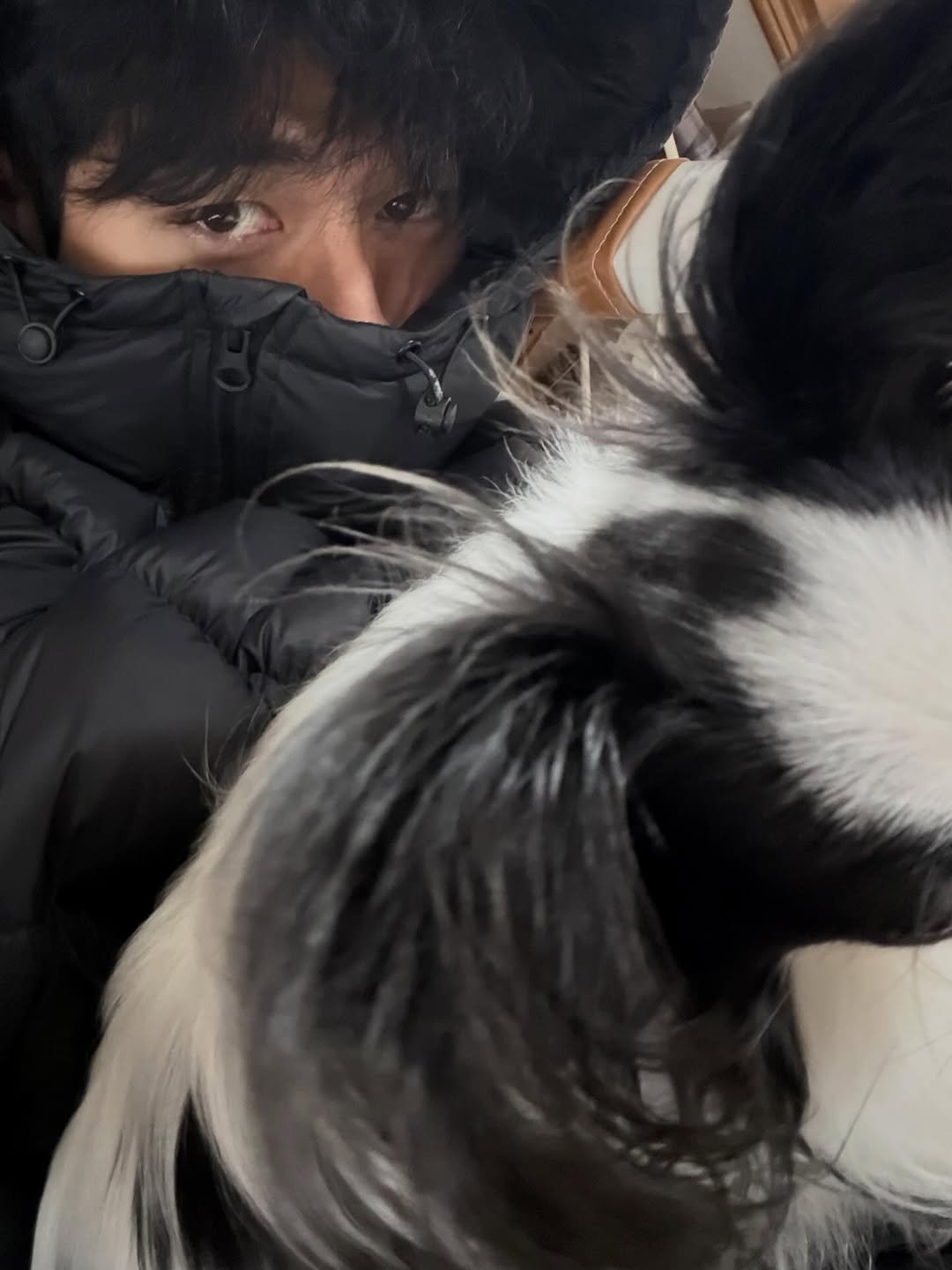 Photo shared by 레오 on November 25, 2025 tagging @minggi._.jeok. May be an image of Pekinese, duffle coat, goosedown coat, parka and text.