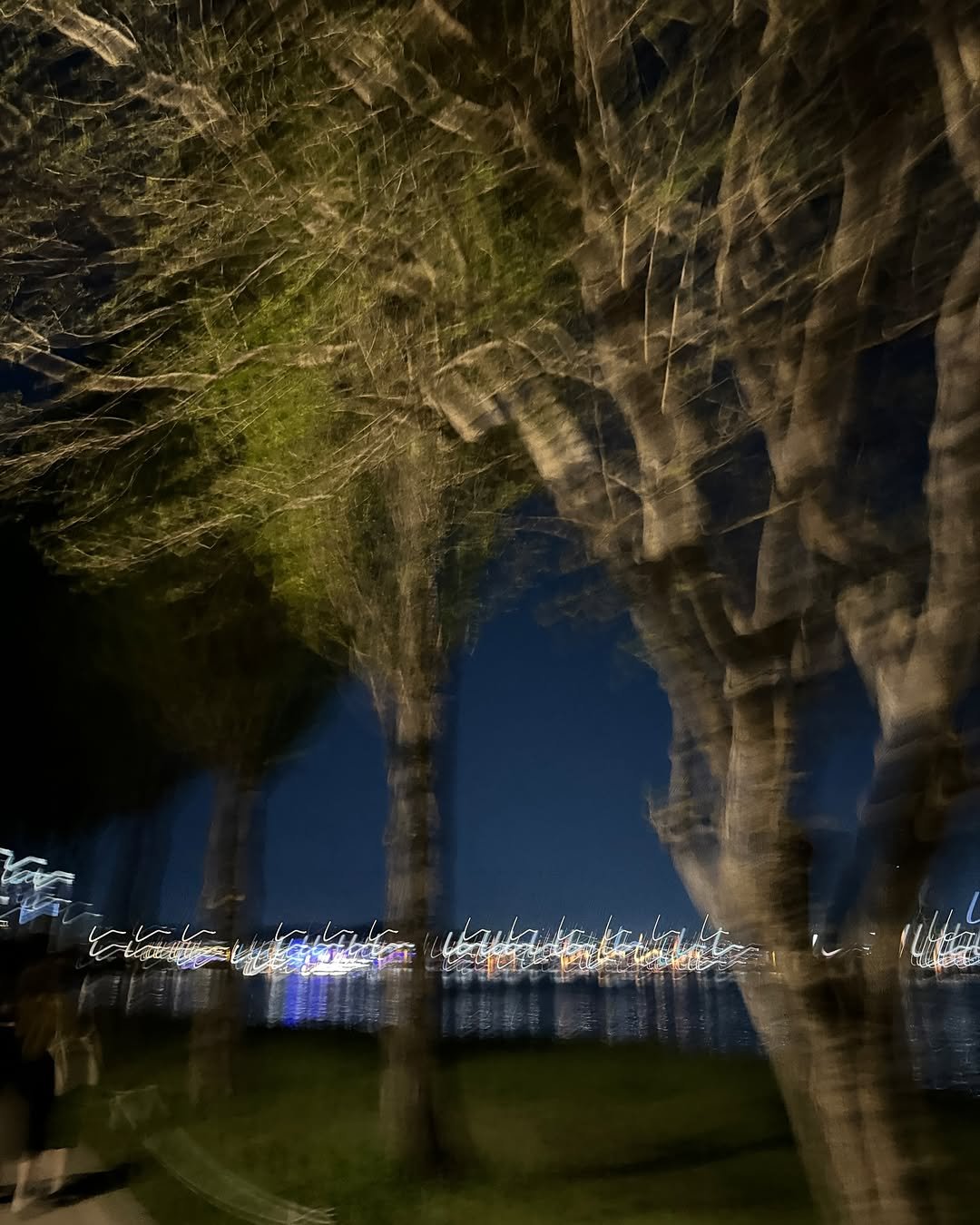 Photo by 홍민기 on May 19, 2025.