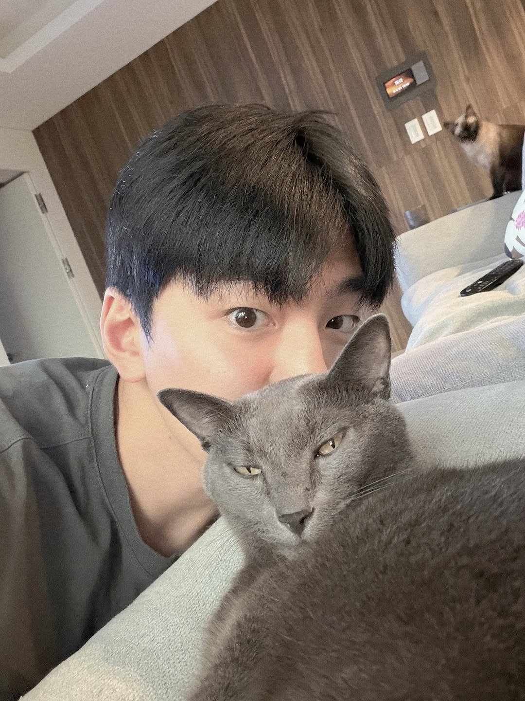 Photo by 김민규 on October 15, 2025. May be an image of kitten, Abyssinian cat and text.