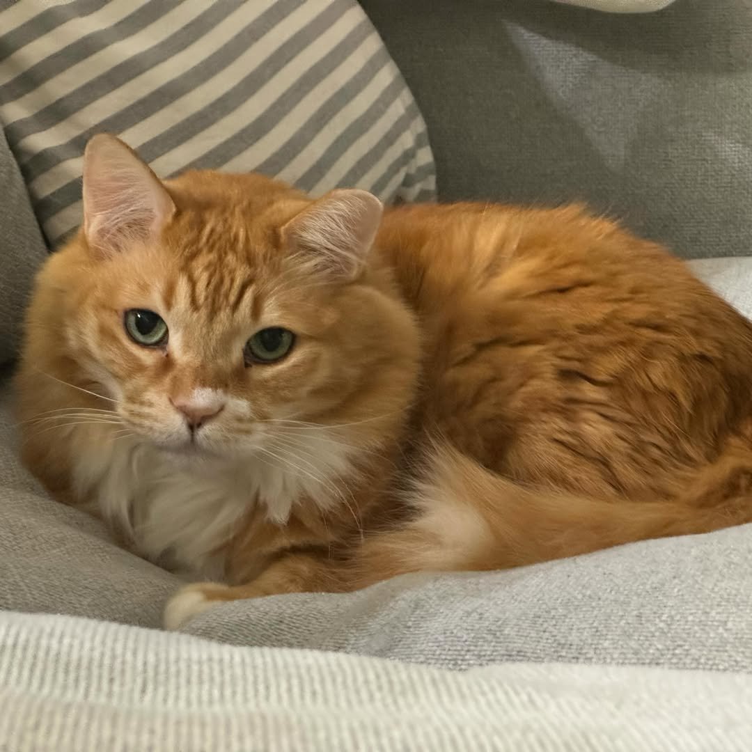 Photo by 김민규 on March 10, 2024.