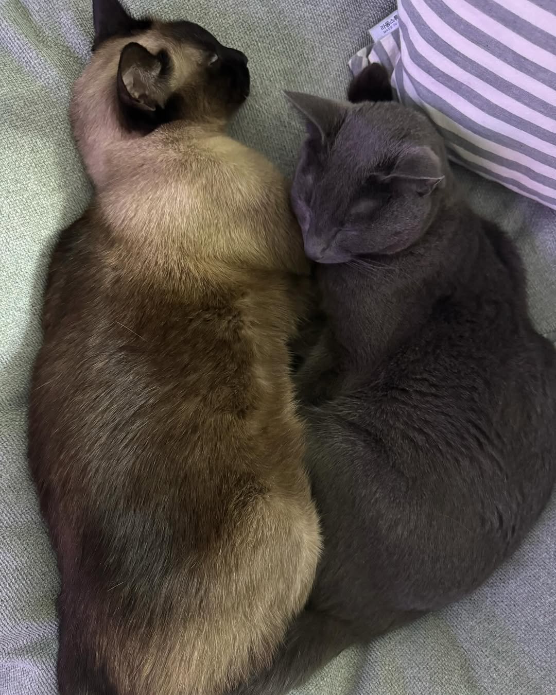 Photo by 김민규 on March 10, 2024.