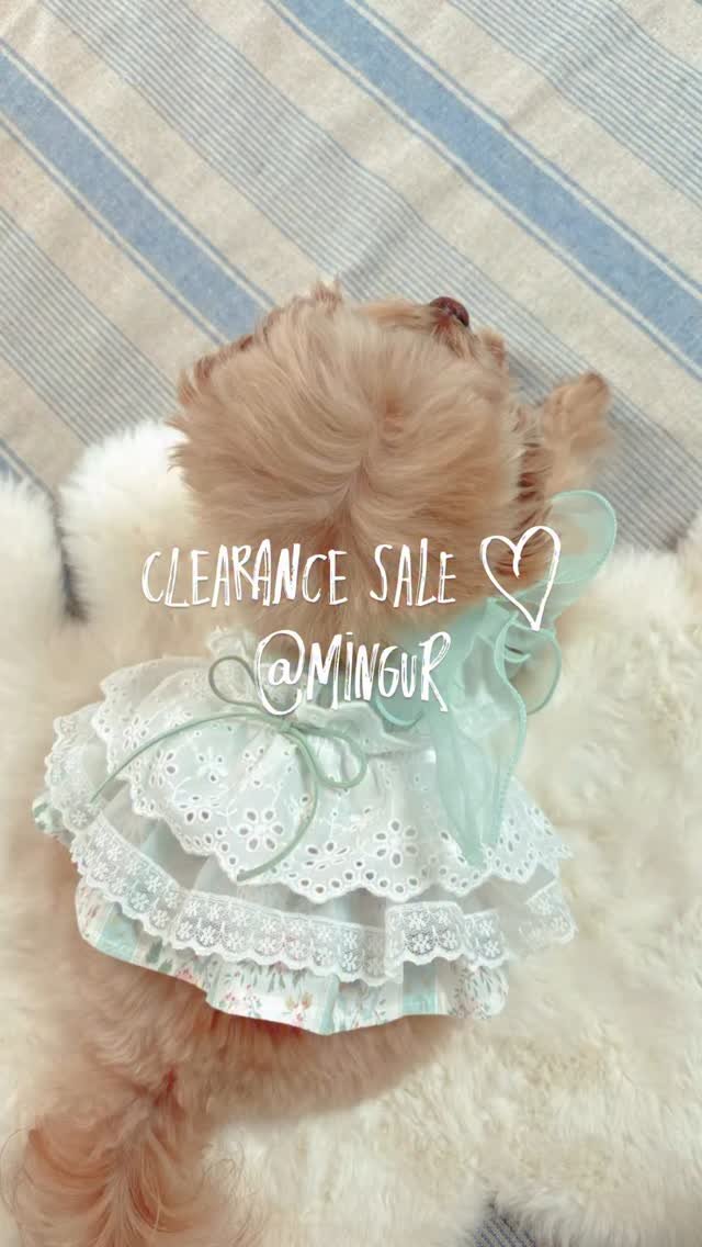 mingur.official 게시물 이미지: .
🌷 밍구르의 첫 번째 클리어런스 세일

그동안 많은 사랑을 받아온 밍구르의...