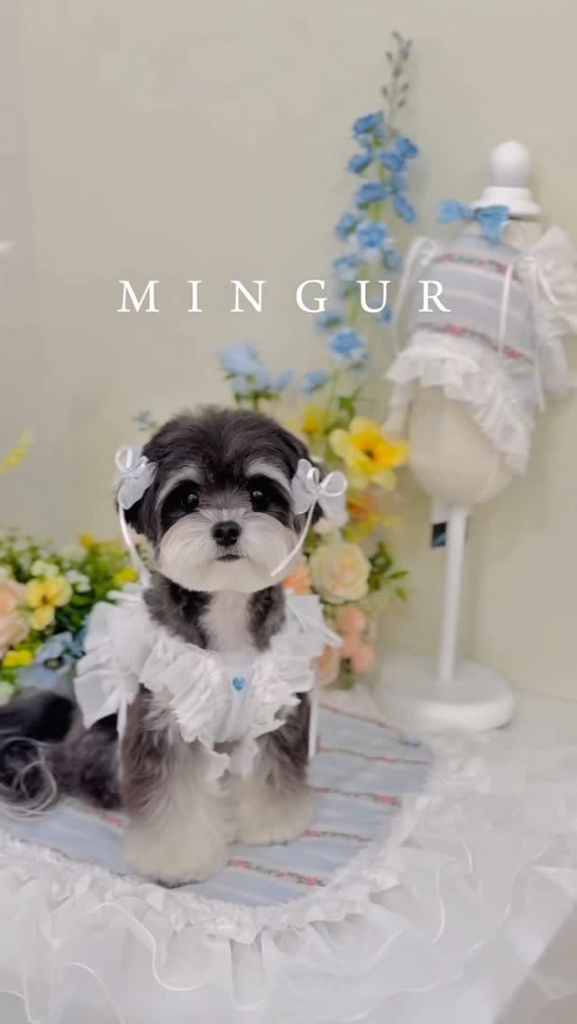 mingur.official 게시물 이미지: .
🌿 블루밍가든과 함께하는 일상은 정말 사랑스러움 그 자체예요🥹💗
비가 스쳐간...