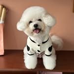 lilimondeeee 프로필 사진