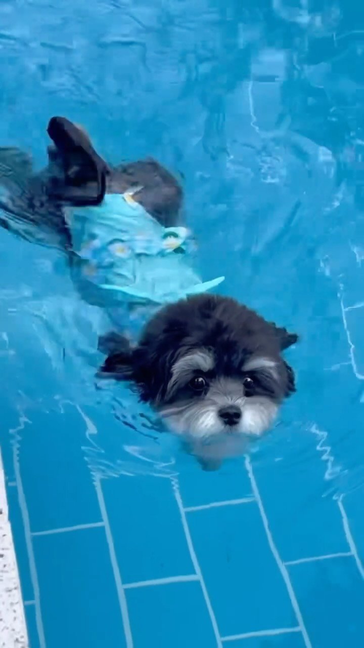 mingur.official 게시물 이미지: .
🏖️ 여름 휴가 준비 완료! 🏖️
물 위에서도, 물 속에서도 완벽하게 빛나는...