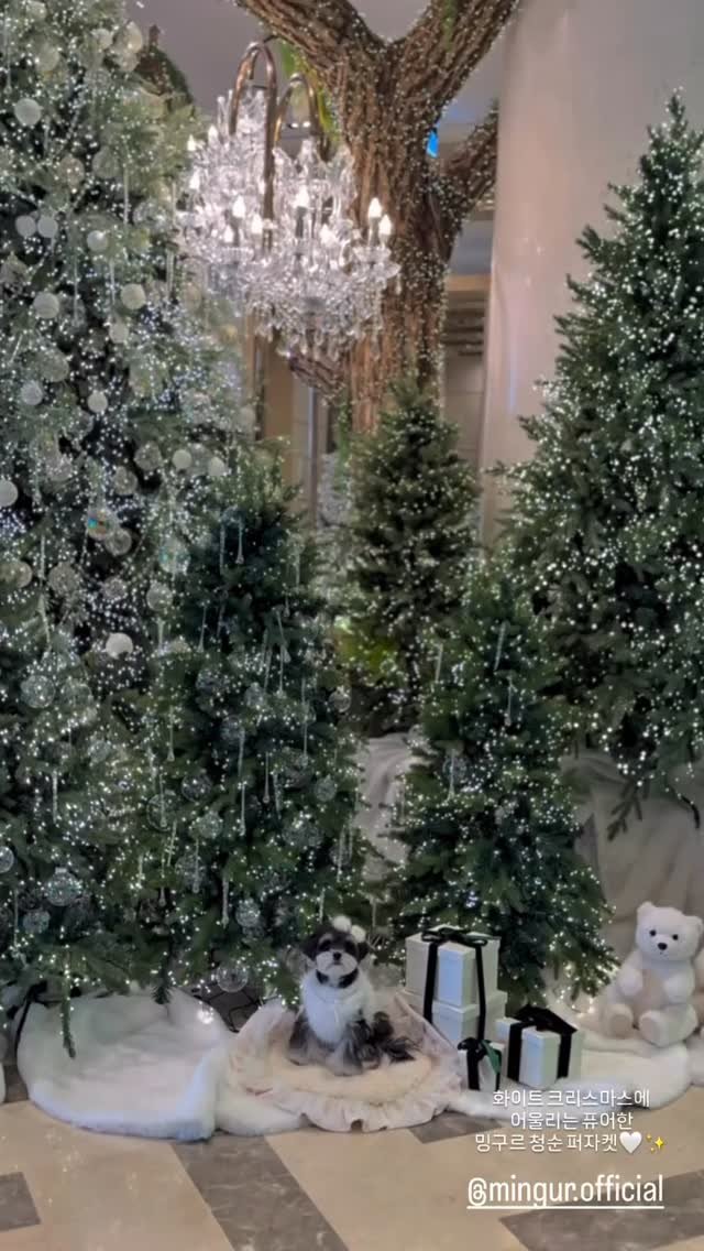 mingur.official 게시물 이미지: .
인형보다 더 인형같은 요미와 포근한 곰돌이 가족...