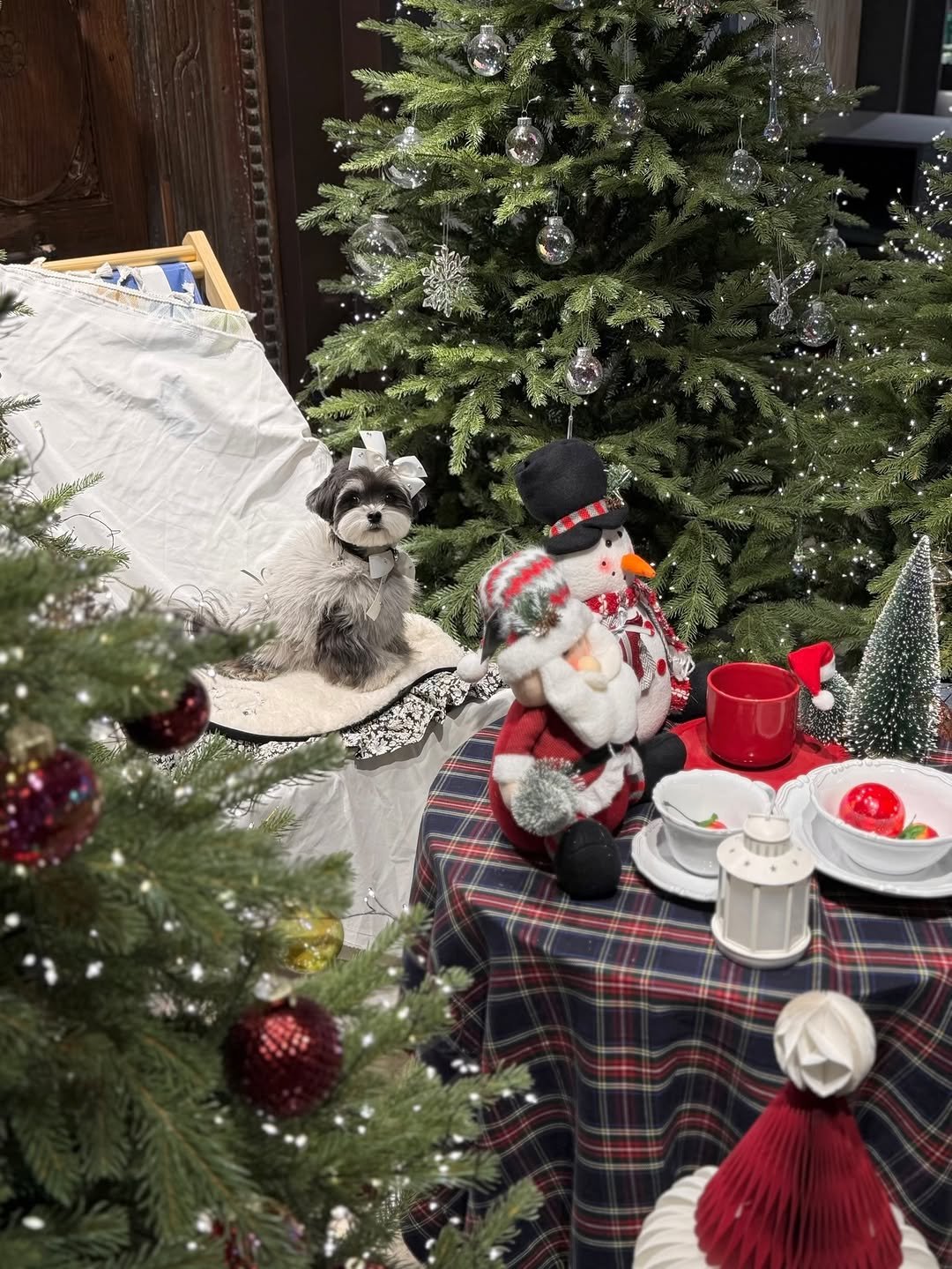 Photo by 밍구르 | MINGUR on December 16, 2025. May be an image of gingerbread cookie, christmas tree, snowman, tablecloth, tinsel, pinecone and text.