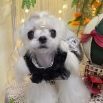 lovesome_salgoo 프로필 사진