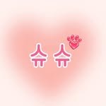chouchou__chiot.chat 프로필 사진