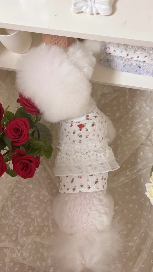 mingur.official 게시물 이미지: ✨lt’s new! 
사랑스러운 정원의 멜로디, 가든 멜로디가 업데이트 되었어요...