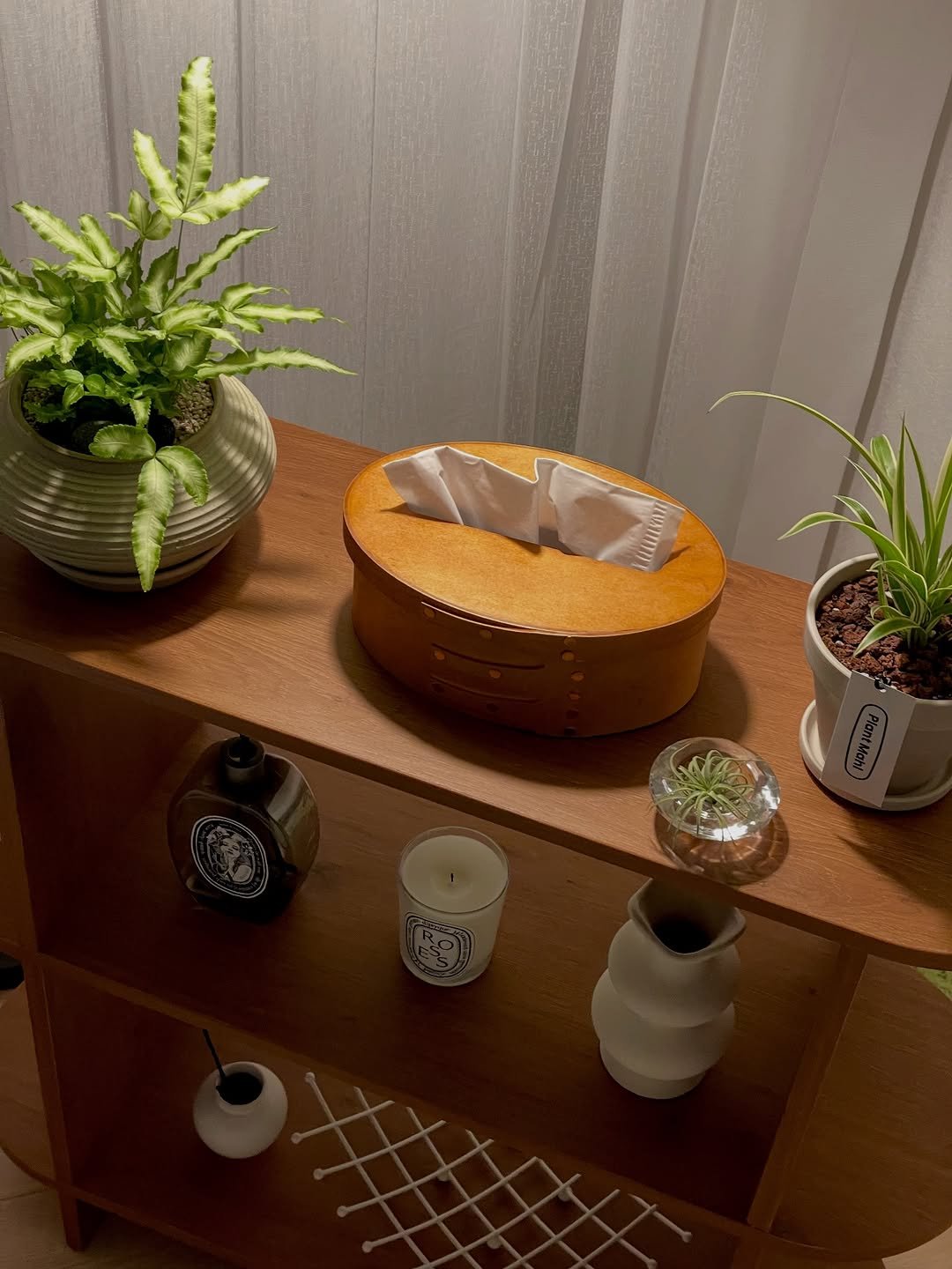 Photo shared by 미니홈 | 살림꿀템•신혼일상•집밥 on March 14, 2026 tagging @diptyque, @todayhouse, @plantmahl, @vuca__official, and @from.dorri. May be an image of sink, wash basin, house plant, mistletoe cactus and text.