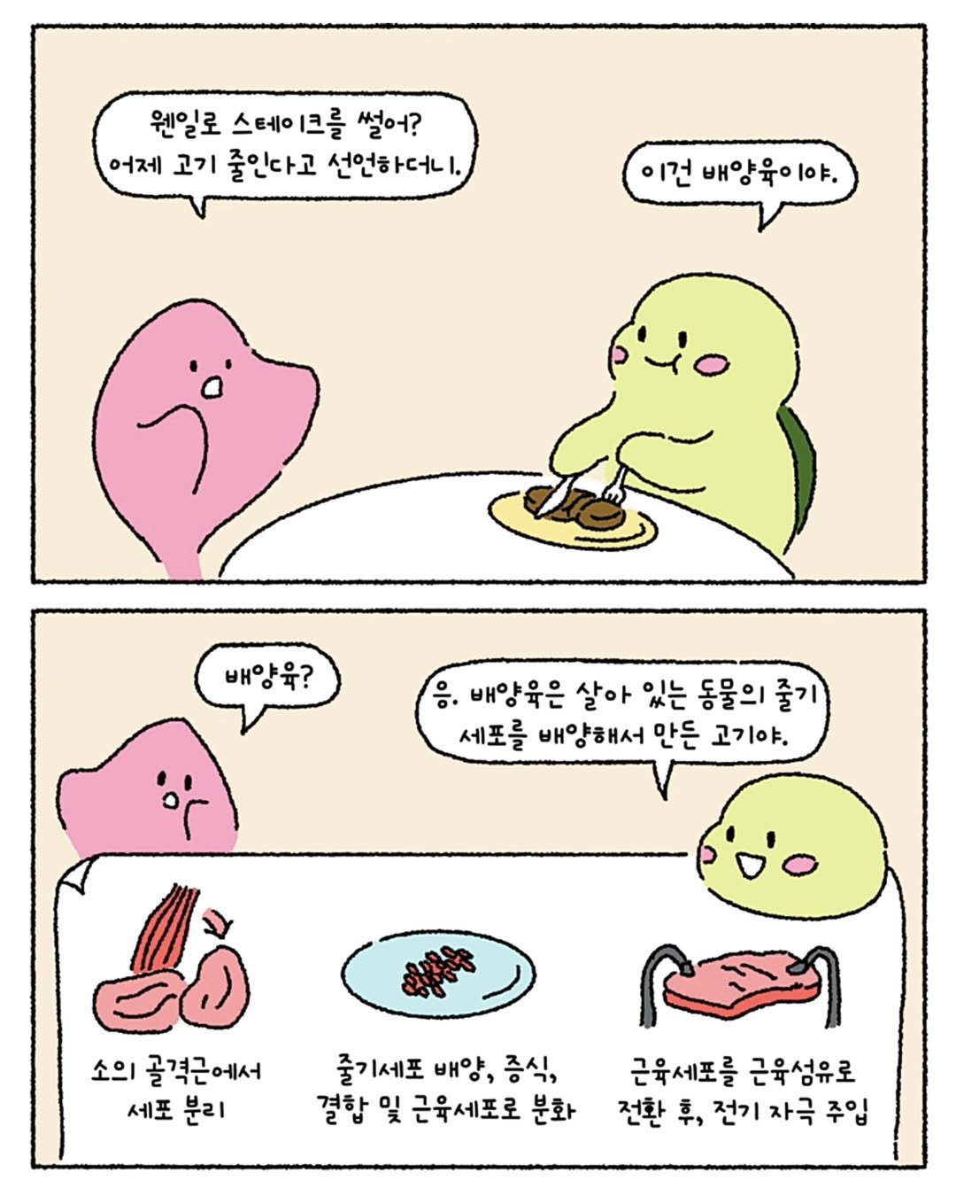 Photo by 미니에코 환경툰 | 민디 on July 01, 2025.