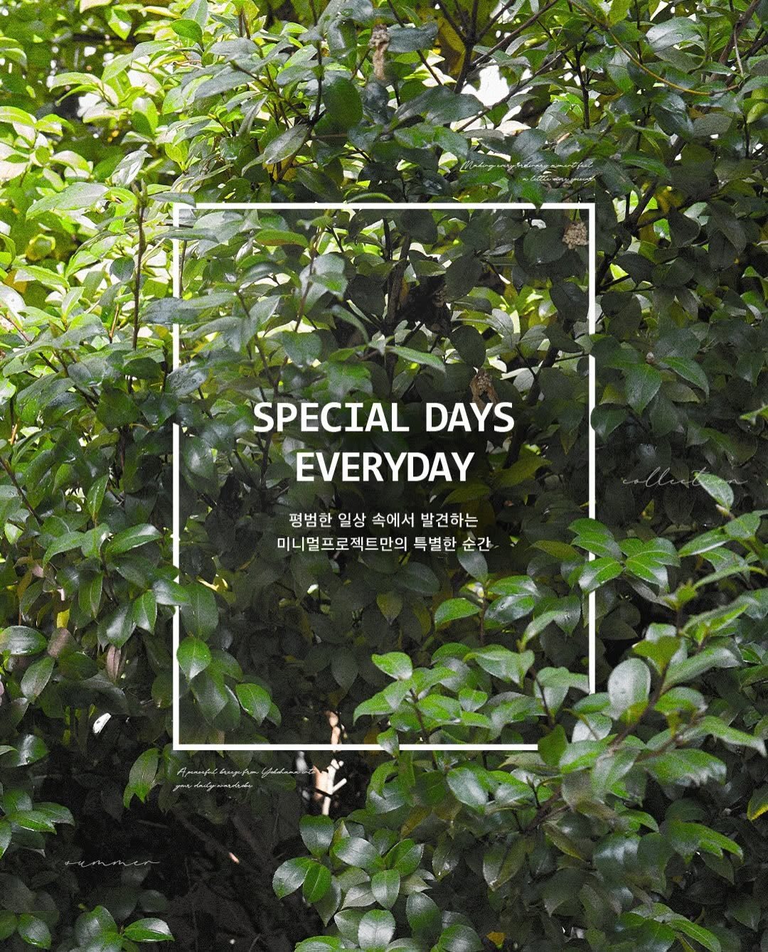 minimalproject_official 게시물 이미지: 26SS
푸른 여름의 길목에서 마주한
요코하마의 한적한 골목길.

거창한 스타일보다...
