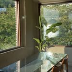fromjin_home 프로필 사진
