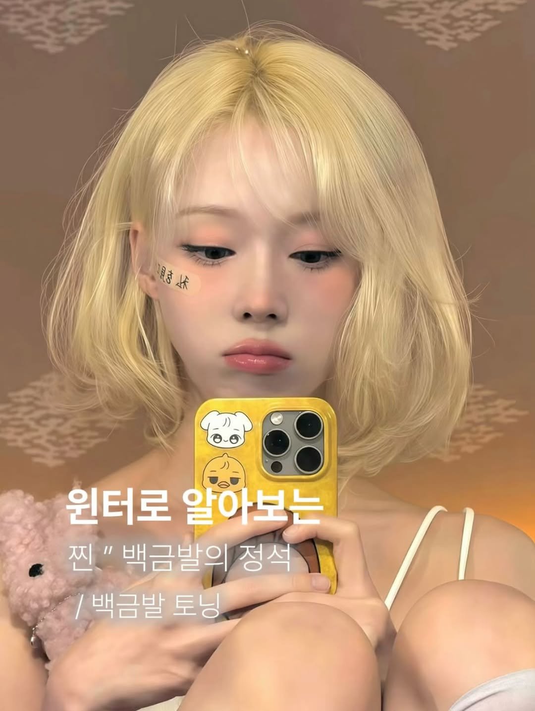 Photo by 수험생이벤트 홍대미용실 미뉴잇 미유 /홍대탈색 /백금발/애쉬베이지/블랙빼기/복구탈색/뿌리탈색 on February 26, 2026. May be an image of text that says '見き 時休 价 윈터로 알아보는 찐" 백금발의 정석 정석들 백금발 토닝'.