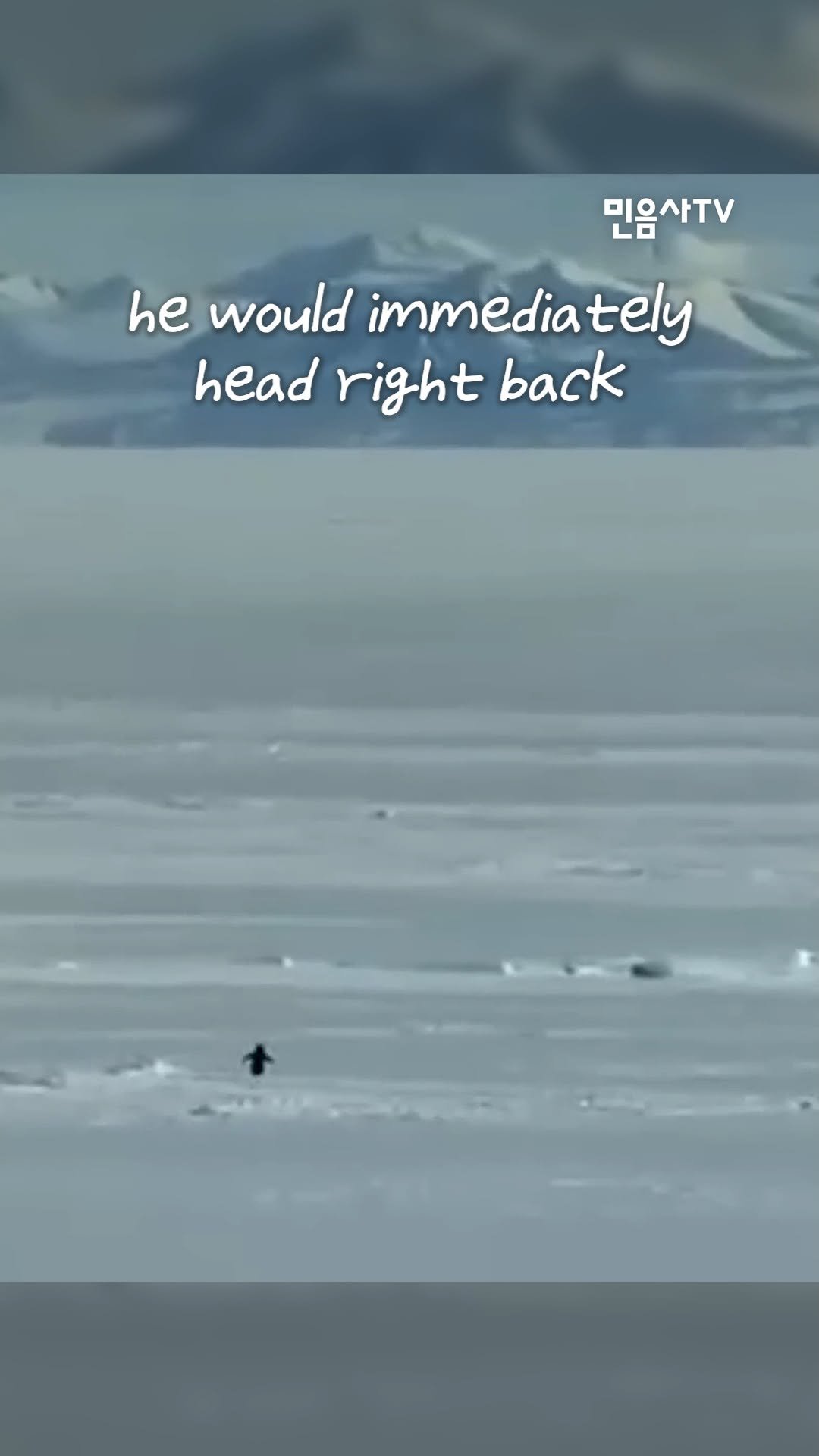 minumsa_tv 게시물 이미지: but why...? Alone...? 

#민음사 #민음사TV #책추천
#한편...