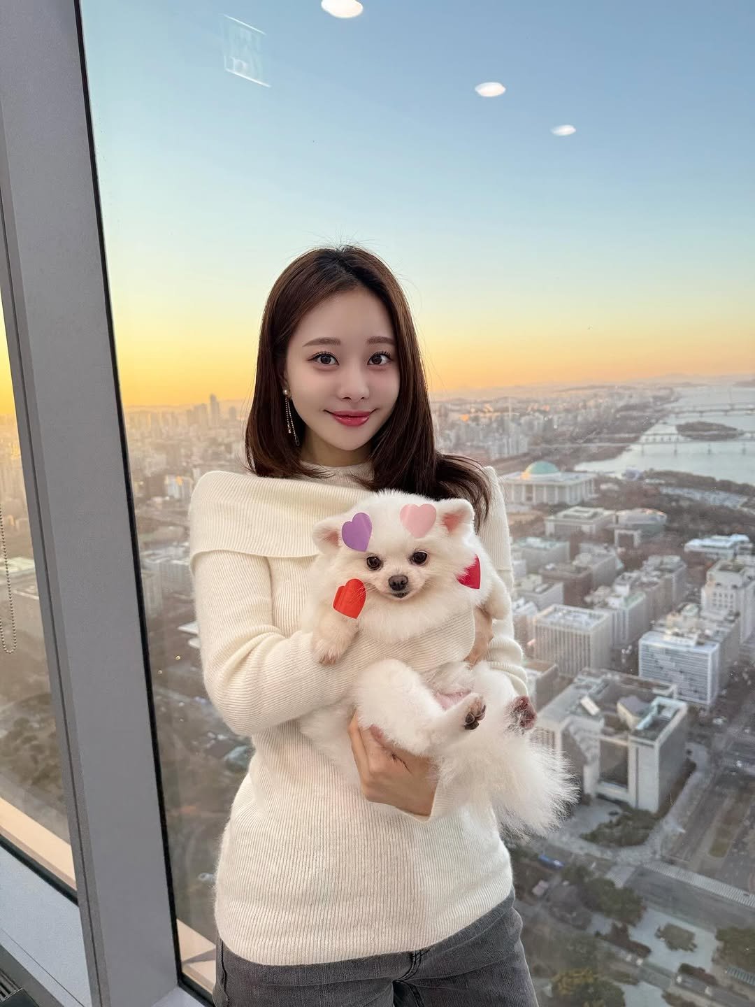 Photo by 김민영🌸아옳이 on December 08, 2025. May be an image of Maltese, Pekinese and text.