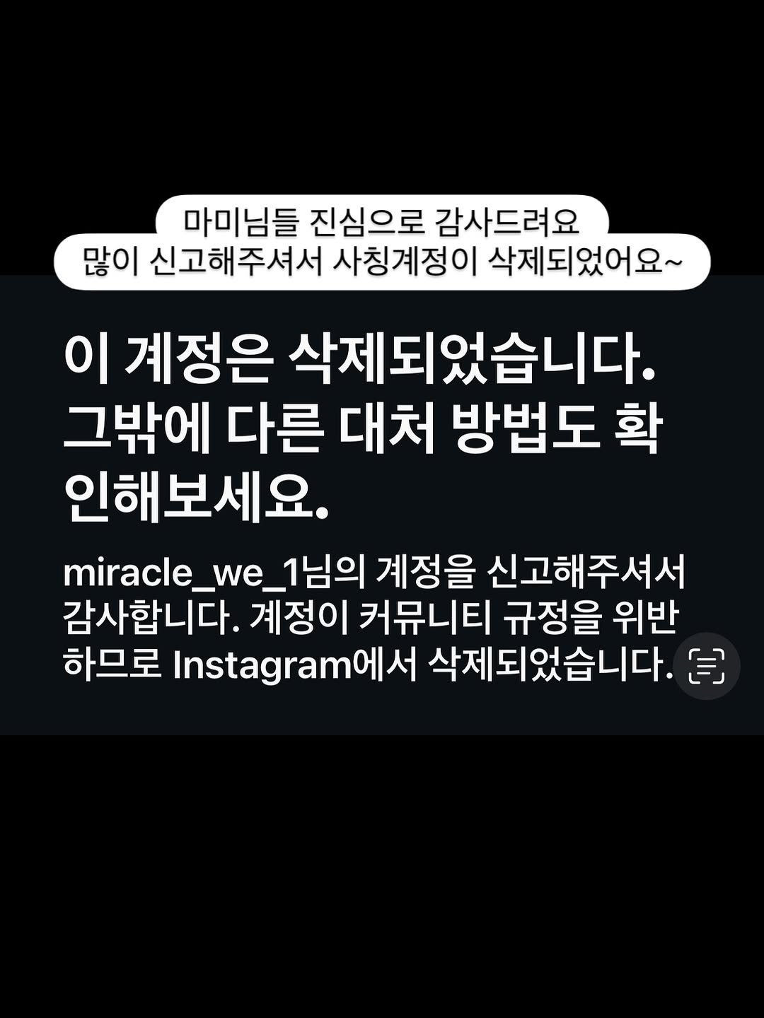 Photo by 미라클위 | 교육 | 육아일기 | 꿀템소개 on September 24, 2025. May be an image of text that says '마미님들 진심으로 감사드려요 많이 신고해주셔서 사칭계정이 삭제되었어요~ 이 계정은 삭제되었습니다. 그밖에 다른 대처 방법도 확 인해보세요. miracle_we _1님의 계정을 신고해주셔서 감사합니다. 계정이 커뮤니티 규정을 위반 하므로 Instagraml 서 삭제되었습니다. 包'.