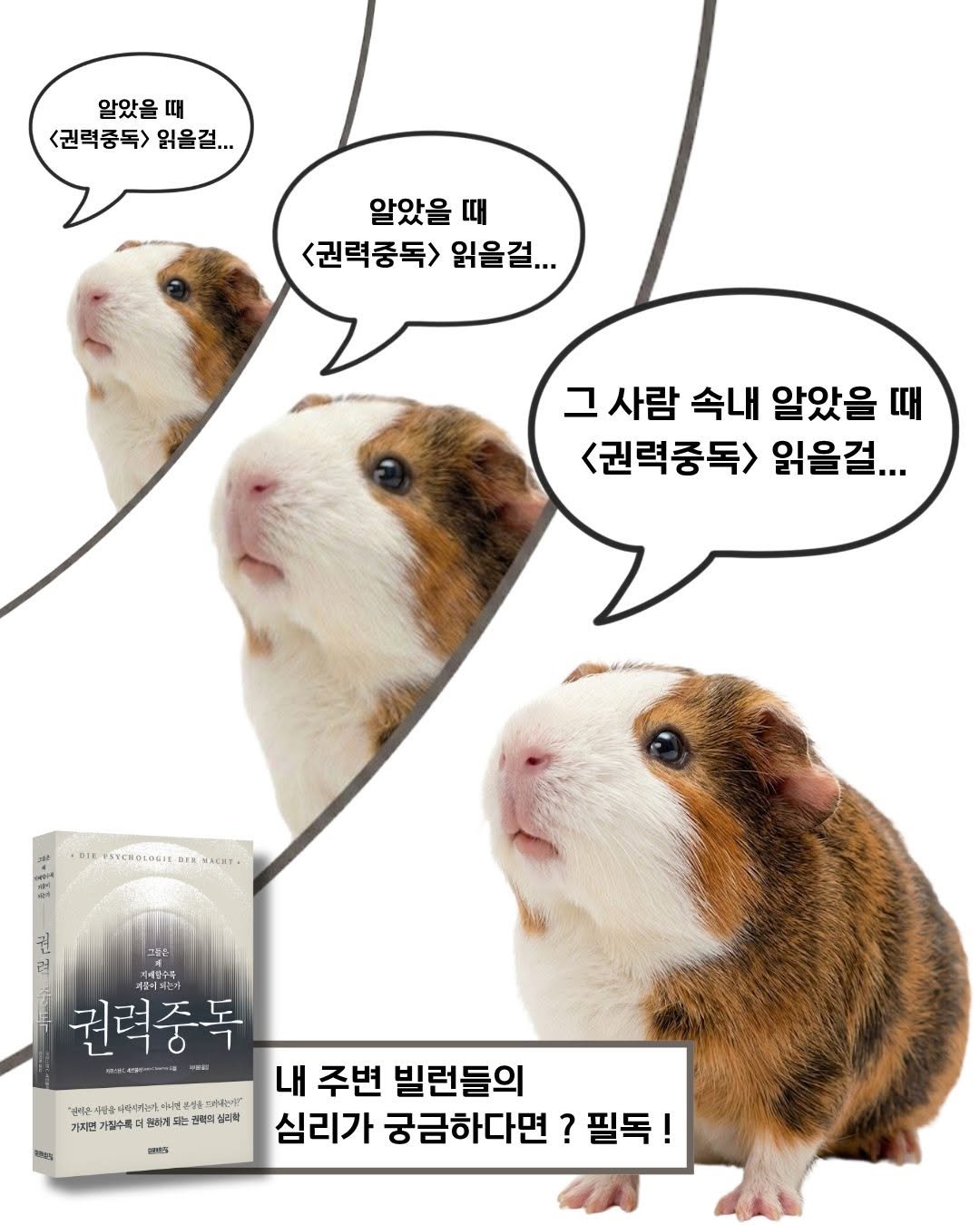 Photo by 미래의창 on April 27, 2026. May be an image of rodent, hamster, Abyssinian cat and text.