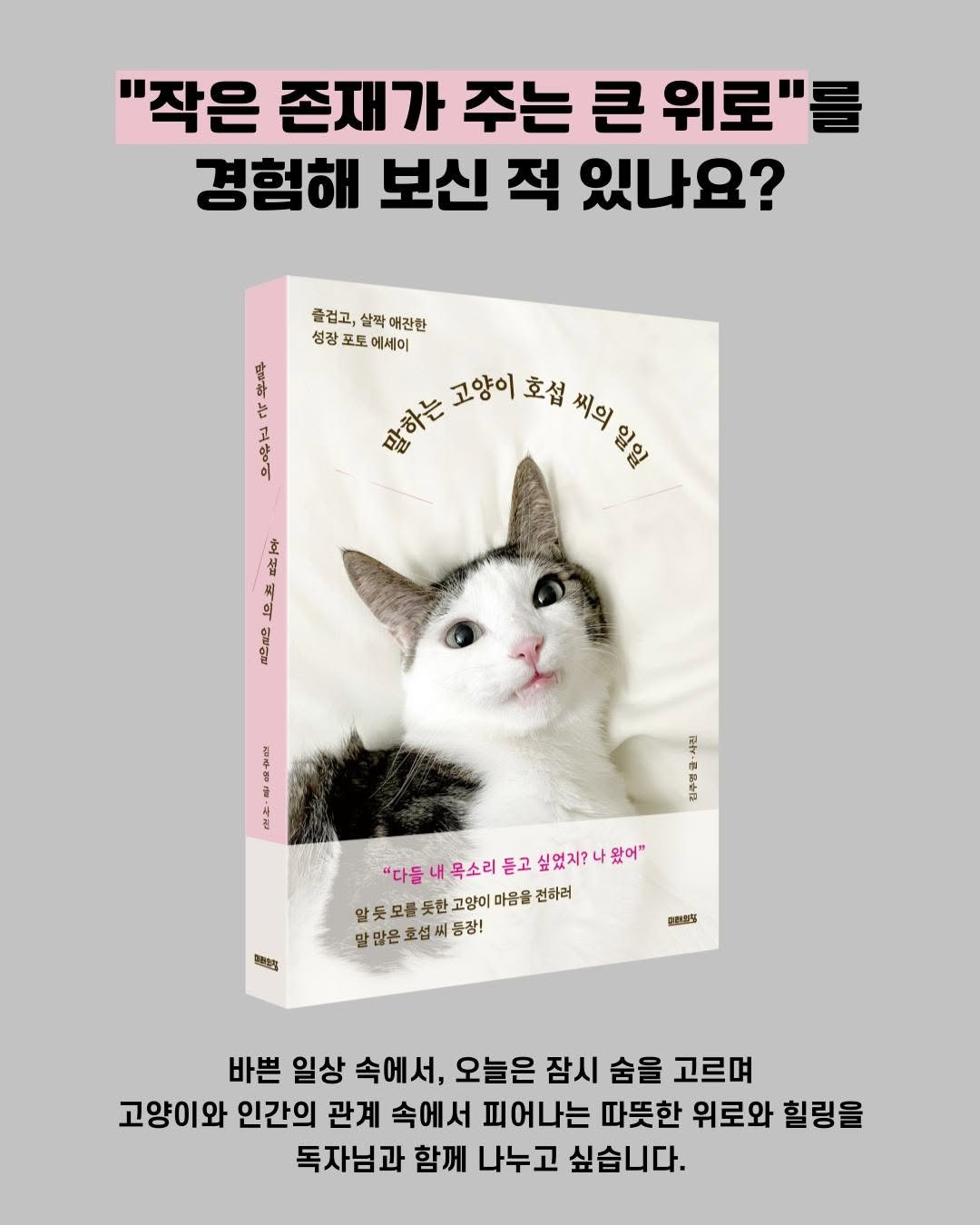 Photo by 미래의창 on August 08, 2025. May be an image of animal, book, magazine and text that says '"작은 존재가 주는 큰 위로"를 경험해 보신 적 있나요? 즐겁고, 살곽 출럽고,살락얘간한 애관한 성장 포토 에세이 만하는고말이온합세지맛 씨의 말하는 고양이 호섭 일일 고 츠포 円 동여 사의 珍島 1111 정 (e ปู่ 시 "다들 내 목소리 듣고 싶었지? 싶었지?나왔어" 왔어" 알듯모품못한고양이마음을견하려 말듯모를듯한고 고양이 마음을 전하러 말많은호설씨등장 由魅社 国機部 바쁜 일상 속에서, 오늘은 잠시 숨을 고르며 고양이와 인간의 관계 속에서 피어나는 따뜻한 위로와 힐링을 독자님과 함께 나누고 싶습니다.'.