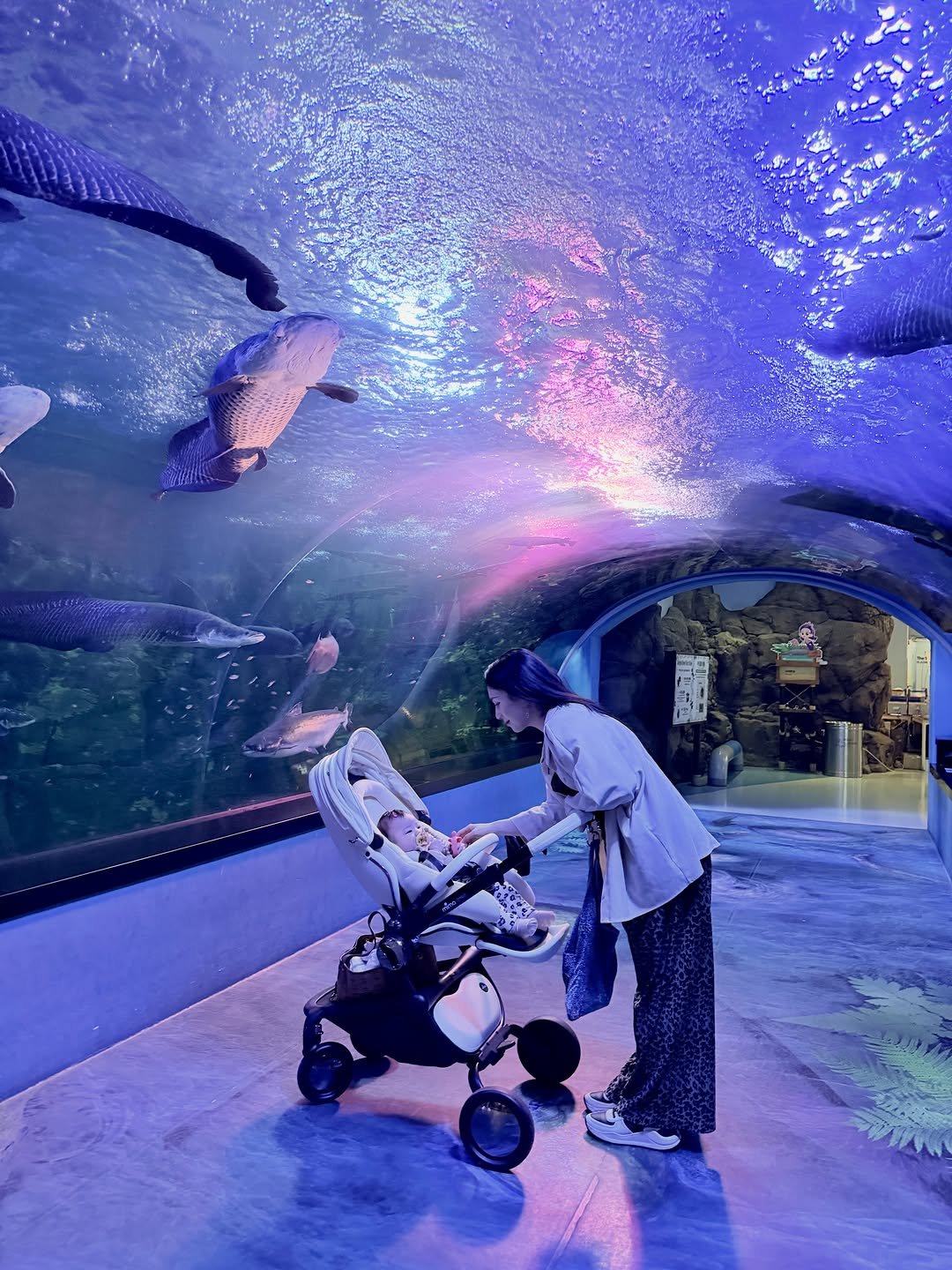 mirasgarden 게시물 이미지: 聽說寶寶4個月大就可以帶去水族館玩🐟
但結果一進場就睡著😂💤
一山很有名的水族館竟然就在我家附...