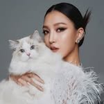 immichellez 프로필 사진