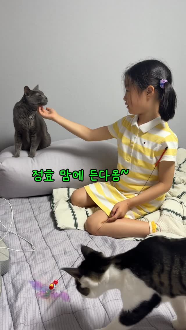 miru_yeoul 게시물 이미지: 작년 임산부 모인 날🐈
어른들은 거실에서 수다 삼매경, 방 안에서는 정효와...