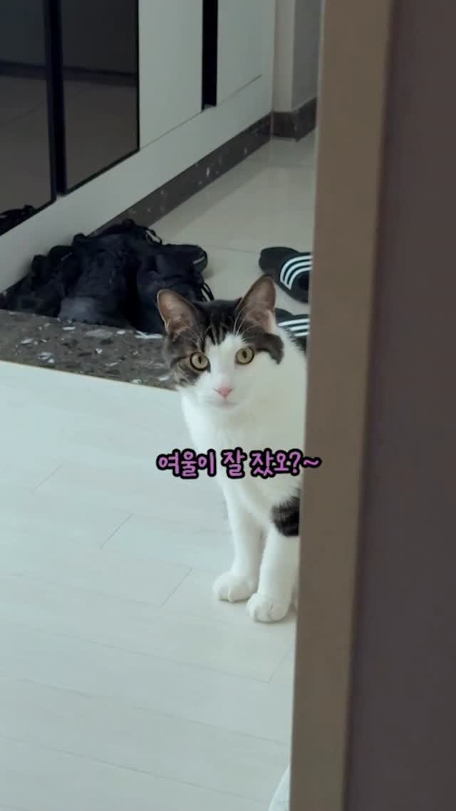miru_yeoul 게시물 이미지: 대답 잘 해주는 여울이
알아 듣는 것 같아 자꾸 말 걸게 됨~
여울이도 엄마랑만...