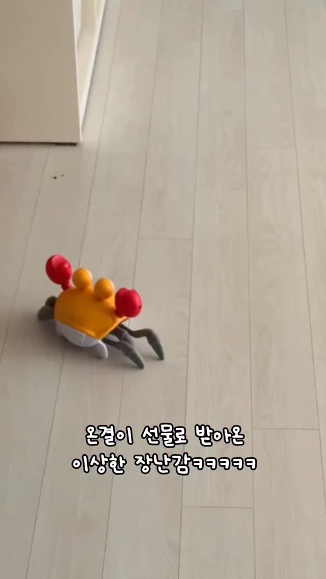 miru_yeoul 게시물 이미지: 온결이 선물이라고 이상한 장난감을 받아오신 아부지 ㅋㅋㅋㅋ 장난감이 너무ㅠ웃겨서...