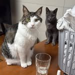 miru_yeoul 인스타그램 프로필 사진