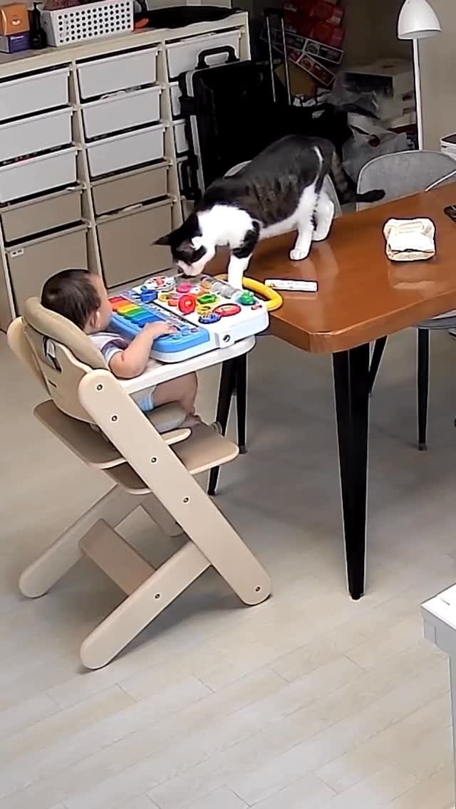 miru_yeoul 게시물 이미지: 모빌 바운서에 이어 에듀테이블까지 탐내는 여울이~
온결이가 자기꺼라 주장하자?...