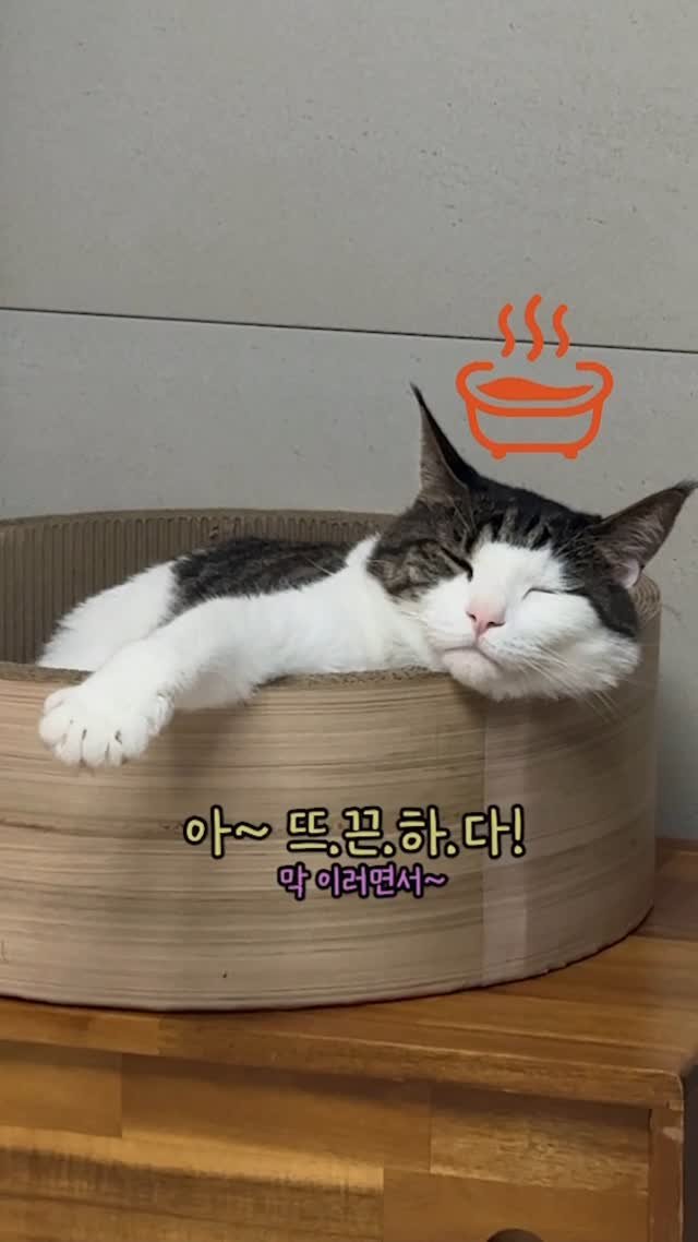 miru_yeoul 게시물 이미지: 여울이 전매특허 포즈 건달처럼 팔 내밀구 있음
엄마는 자주 보는 포즈인데 아부지가...