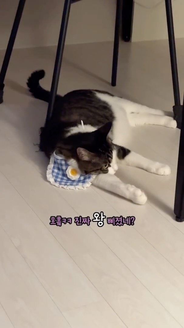 miru_yeoul 게시물 이미지: 미루 화장실에서 못 나오게 길막하고 어깨 동무해서 엄마아빠테 혼난 여울이…. 형아...