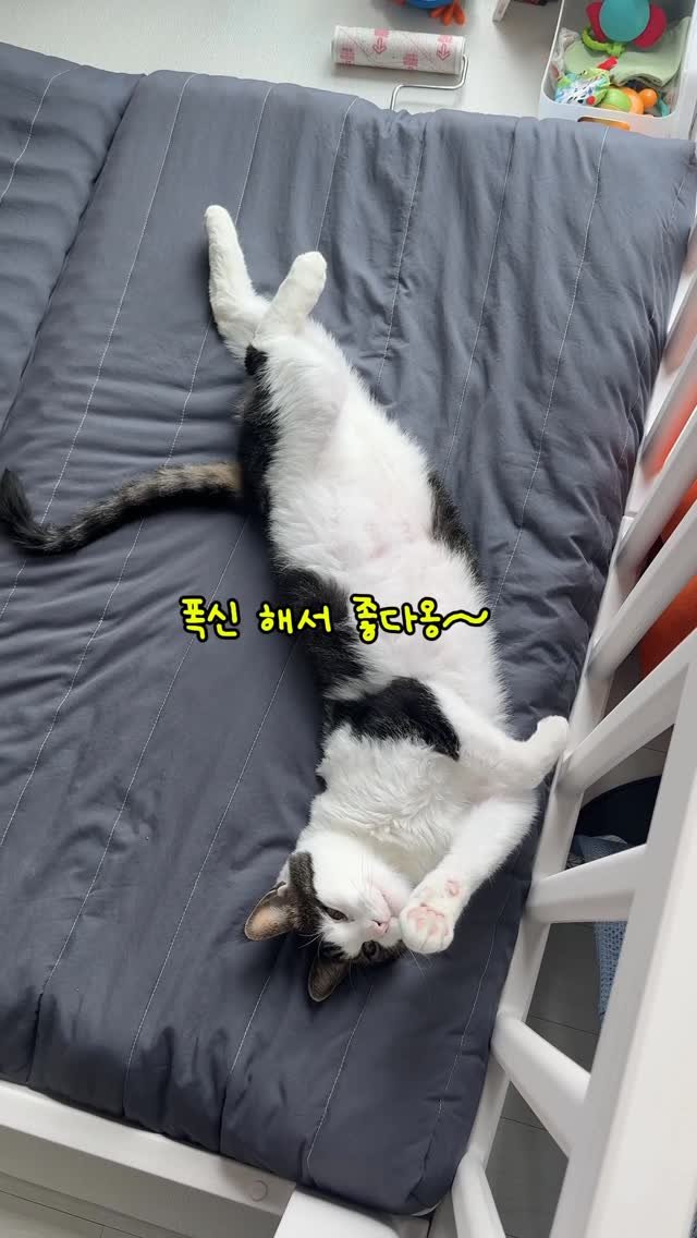 miru_yeoul 게시물 이미지: 놀이매트에 토퍼 깔아뒀더니 바로 한자리 차지하는 여울이..엄마 인후염 & 감기...