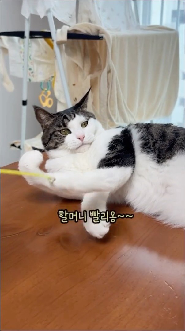 miru_yeoul 게시물 이미지: 주말에 혼자 애본다고 어머님이 와주심~~~
과거 미루 놀아주시던 실력으로 여울이...