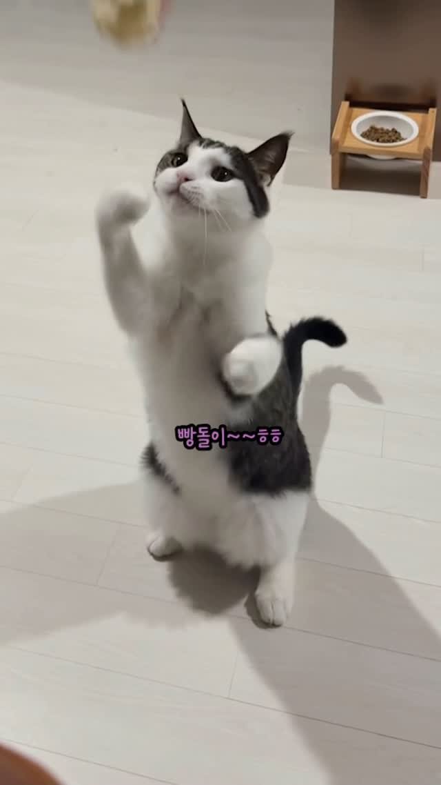 miru_yeoul 게시물 이미지: 엄빠 먹는건 다 궁금타~~~
다 먹을 때 까지 포기 하지 않는 미루여울
맛 보여주고...