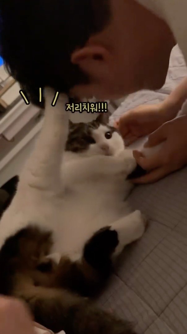 miru_yeoul 게시물 이미지: 이여울 짝사랑하는 아부지 
뽀뽀하다가 마빡 뒷발차기...