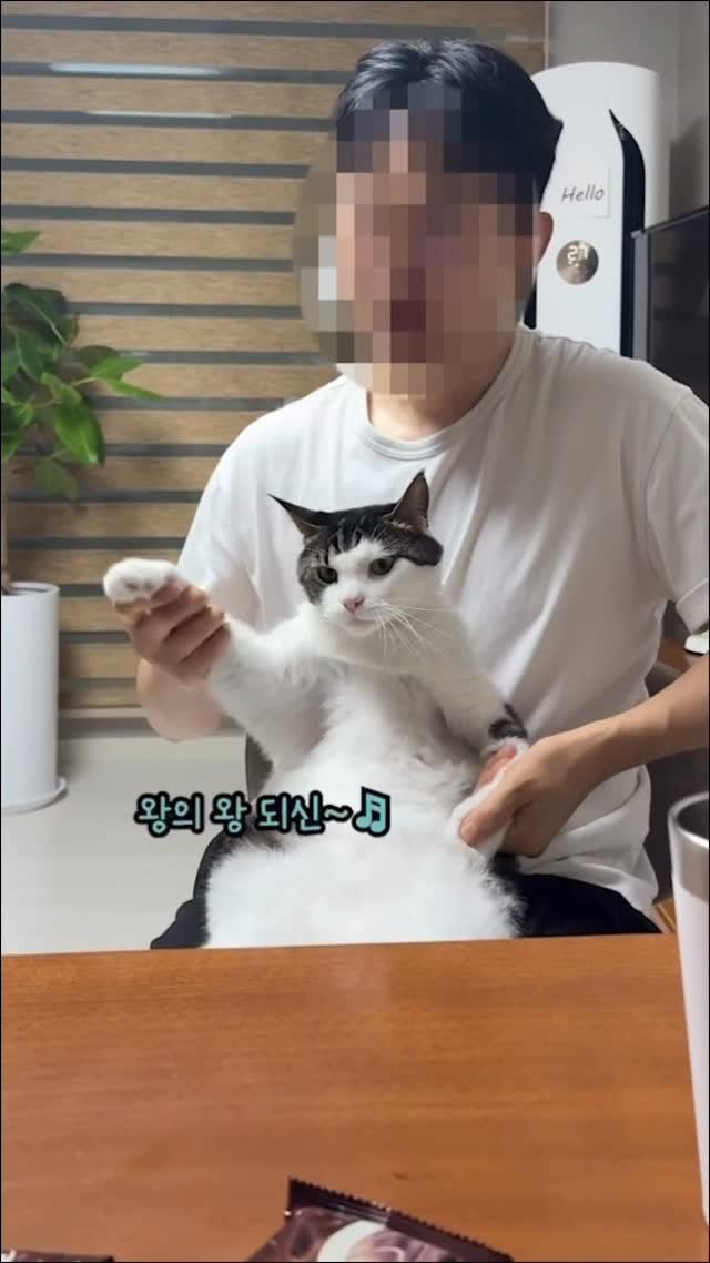 miru_yeoul 게시물 이미지: 교회 다녀오면 여울이 데리고 워십하시는 아부지 ㅋㅋ
첨엔 엄청 싫어하더니...