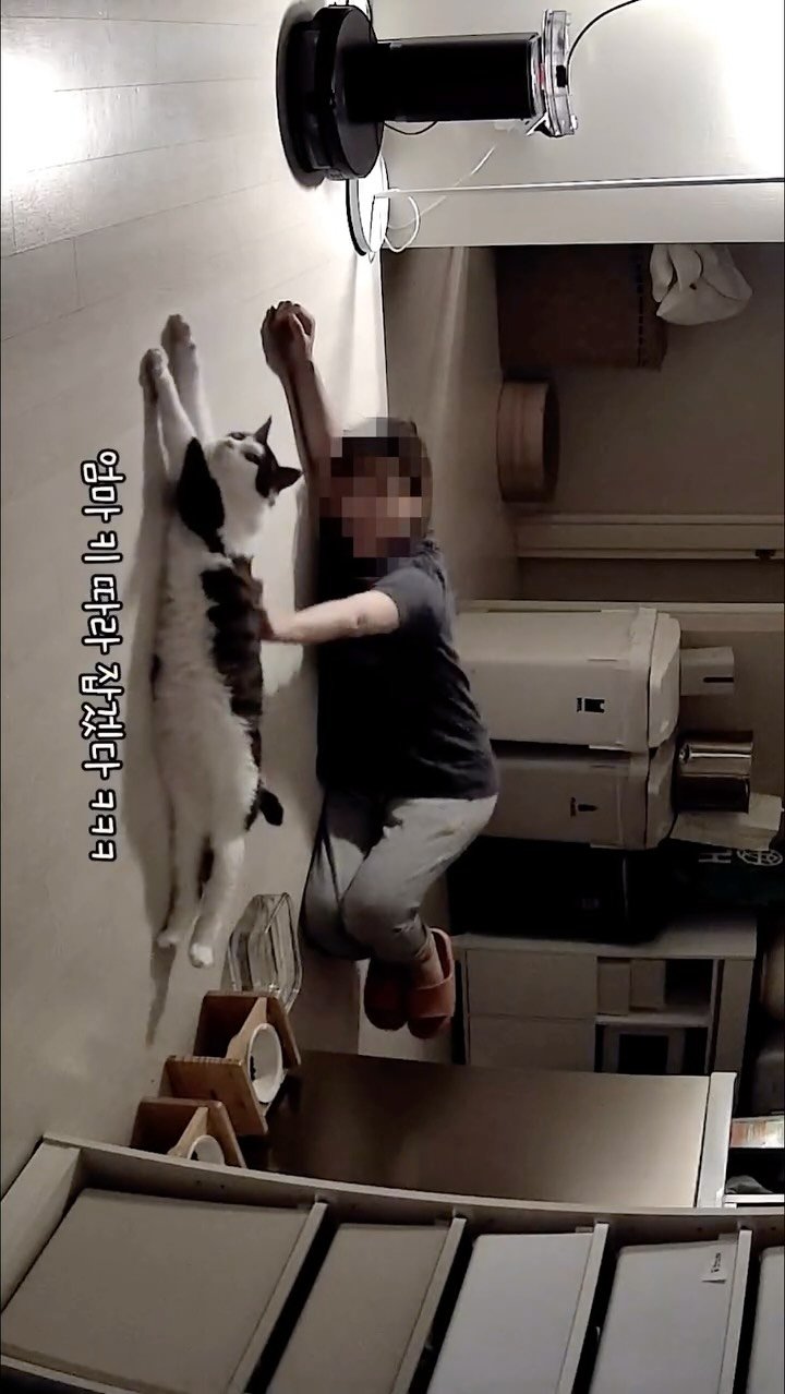 miru_yeoul 게시물 이미지: 새벽 수유때 문 앞에서 야옹 거리는 여울이 보고 있자면 마음이 짠….왕 피곤해도...