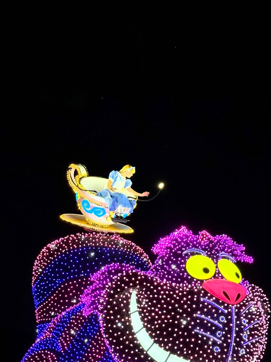 Photo by miru🕊 미루/小咪 on October 28, 2025.