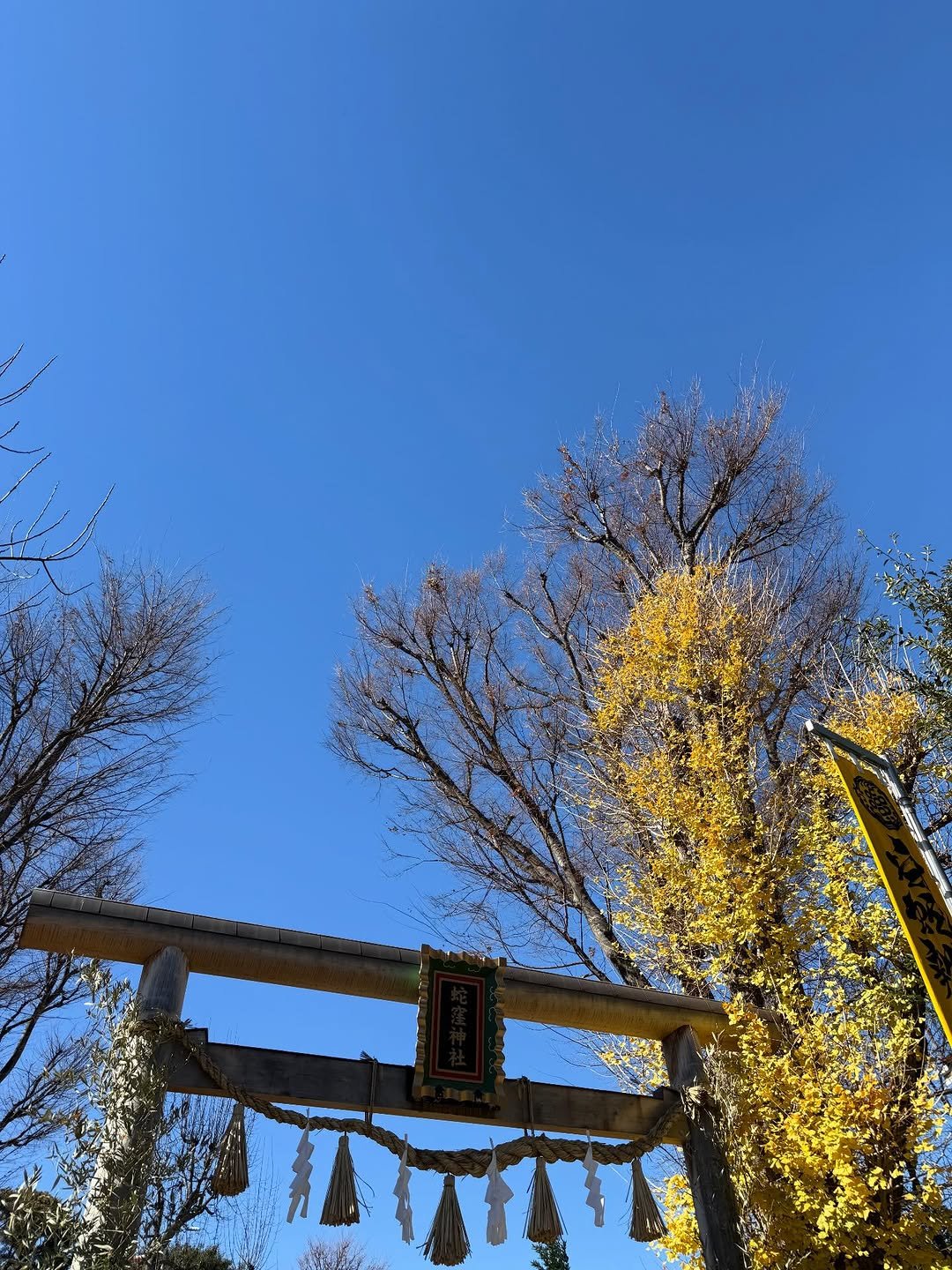 Photo shared by miru🕊 미루/小咪 on December 25, 2025 tagging @hebikubo_jinja_4412. May be an image of wind chime, Fushimi Inari Taisha and text that says 'I'.